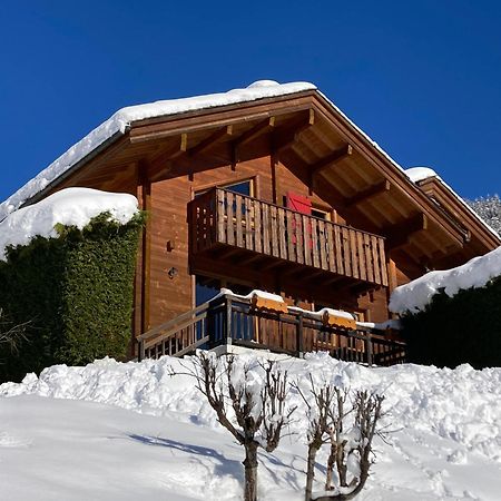 Chalets Du Danay Lachat Saint-Jean-de-Sixt Extérieur photo